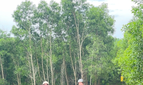 Cheap Private Tours from Da Nang to Hoi An
